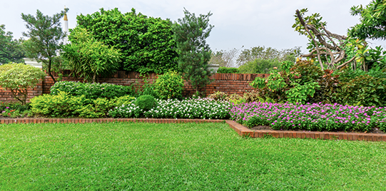 A lush green lawn surrounded by trees and flowers in a garden.