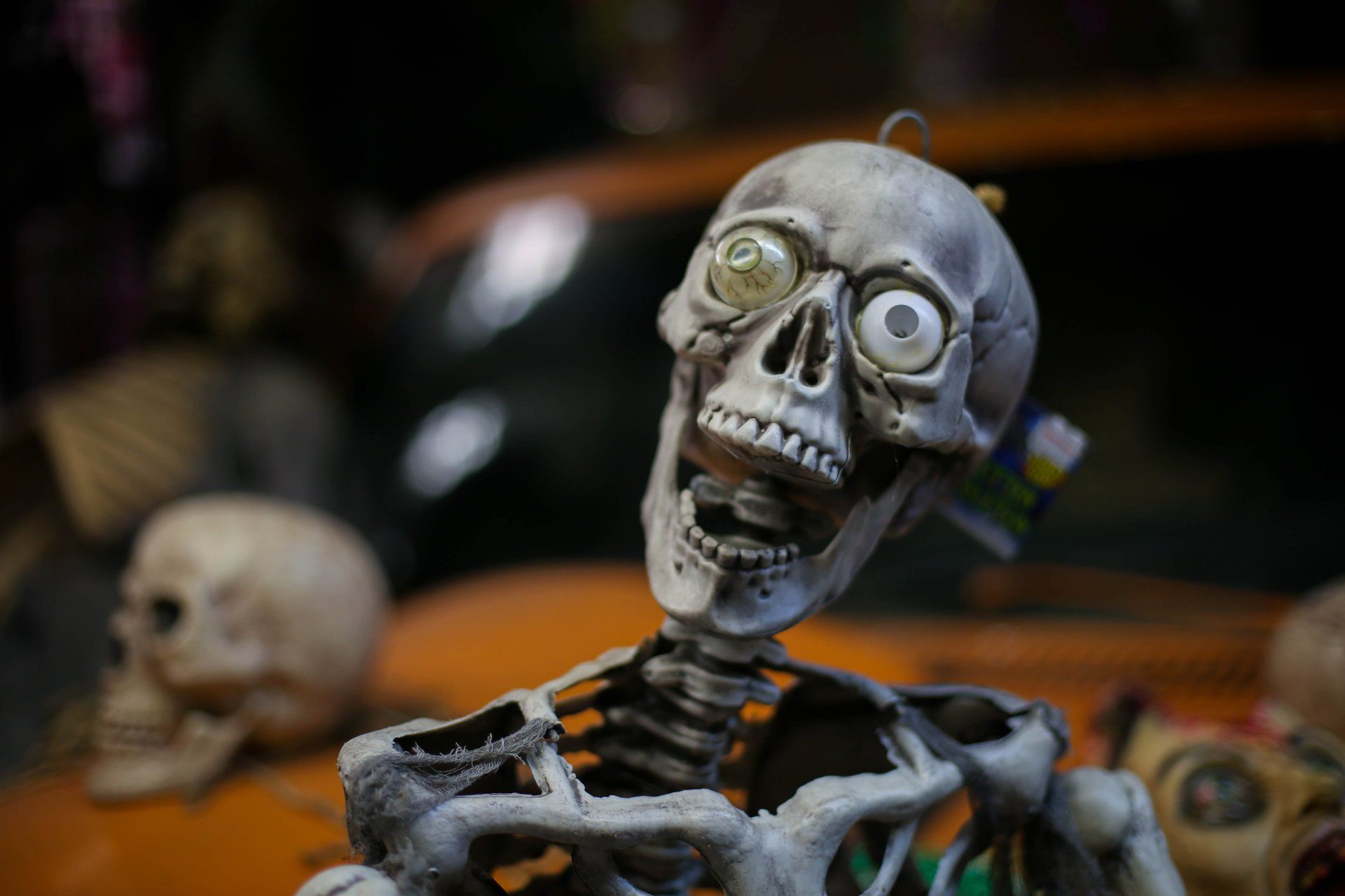 halloween props, skeleton props, halloween decorations