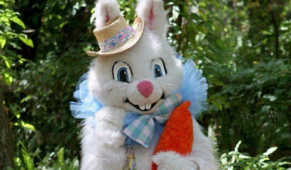 easter bunny costumes, costume rentals