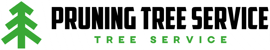 Pruning Tree Service | Tree Service in Spartanburg, SC