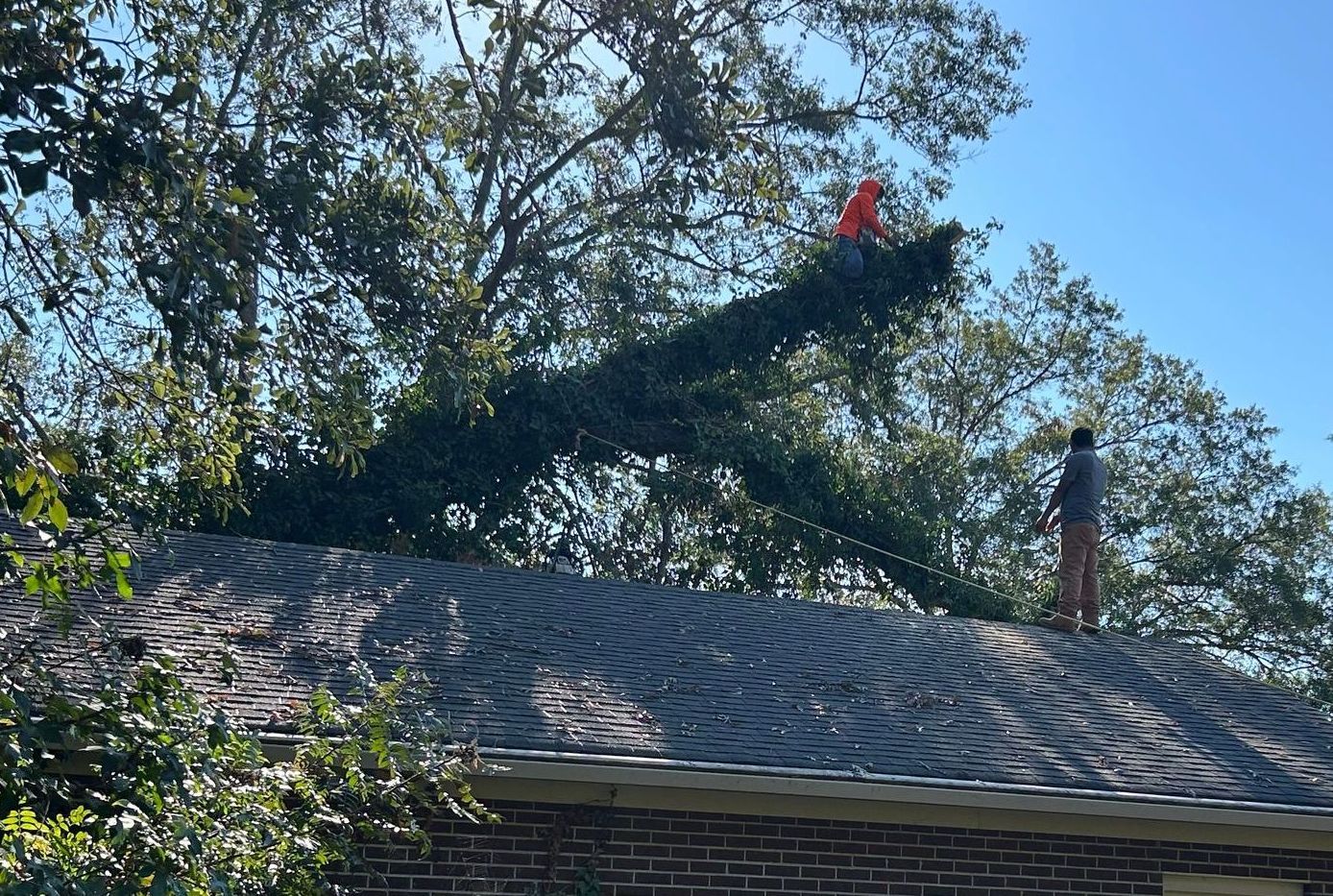 Storm Damage Repair Services in Greenwood, SC