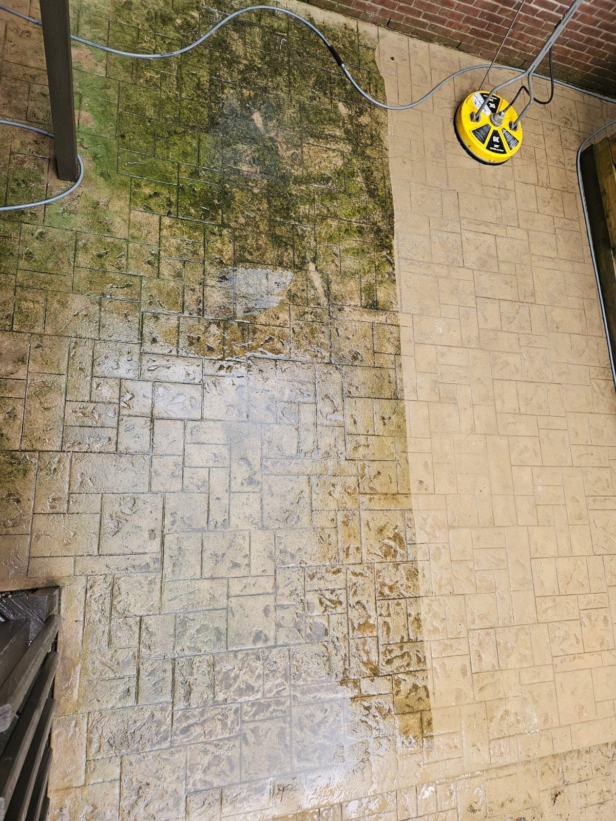 A concrete patio shows before and after power washing. The left side is dirty with algae, right is clean.