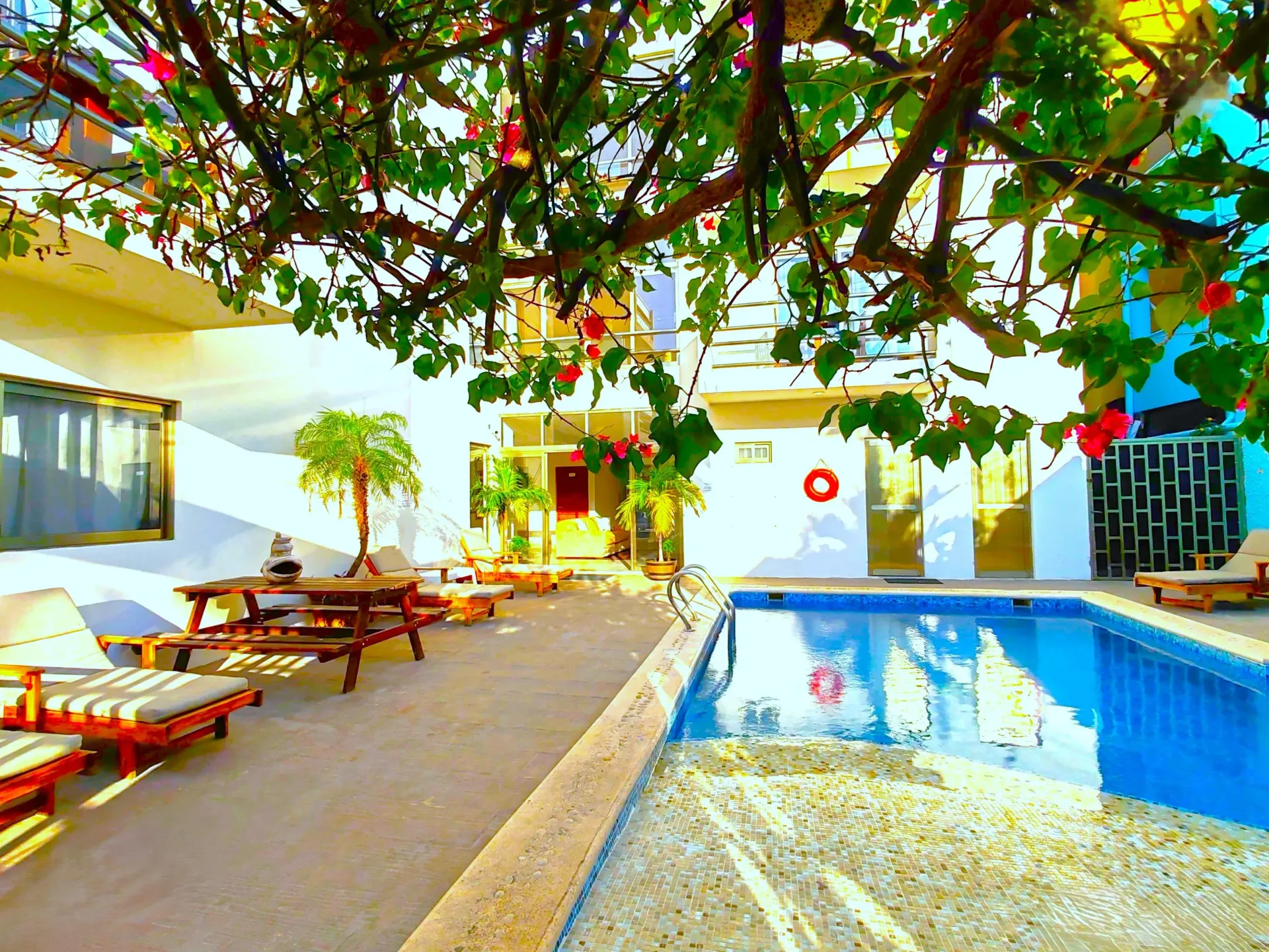 Patio con piscina, tumbonas, mesas y un árbol que da sombra. Luz solar intensa.