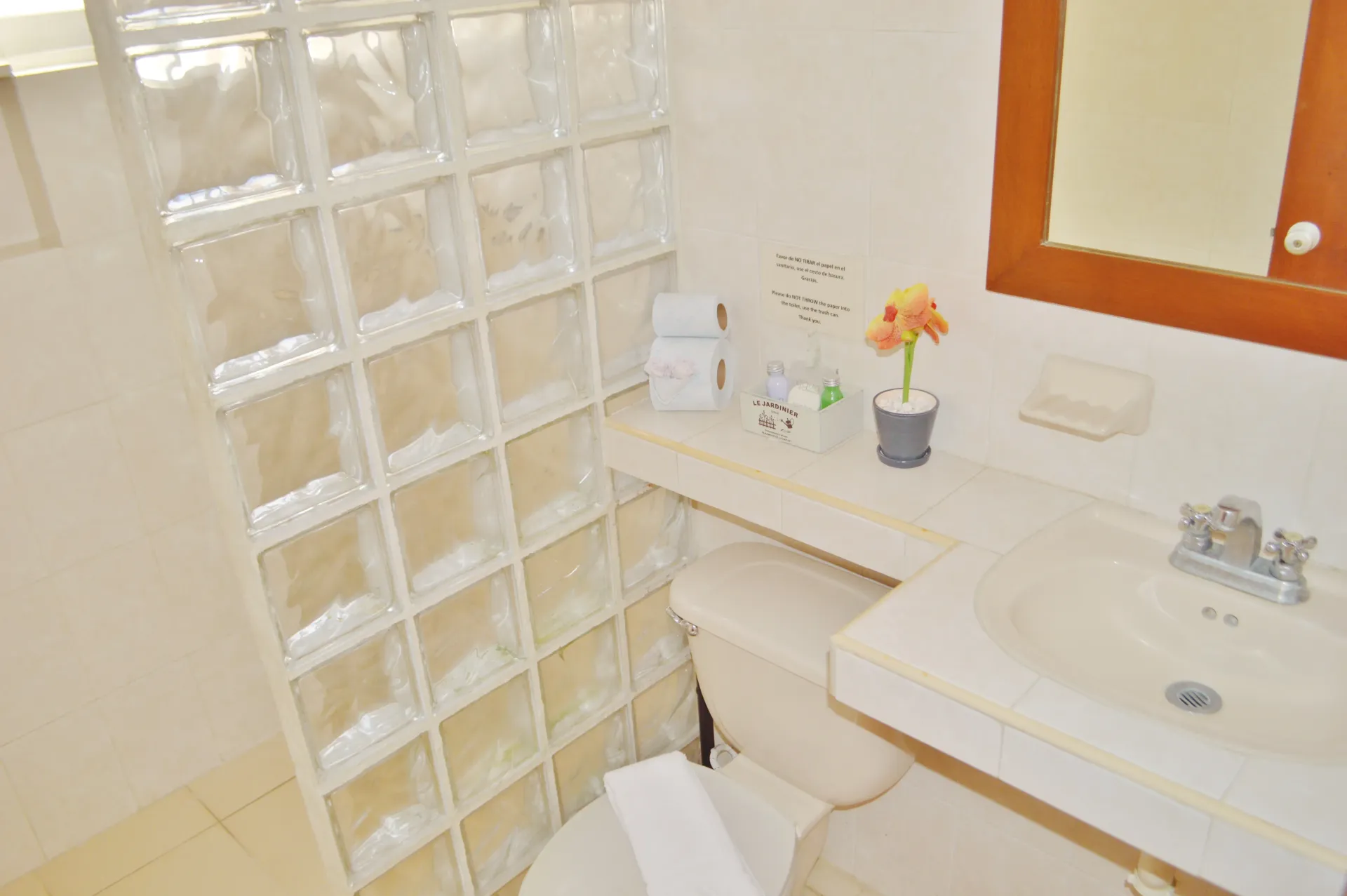 Baño con pared de ducha de bloques de vidrio, inodoro, lavabo y espejo.