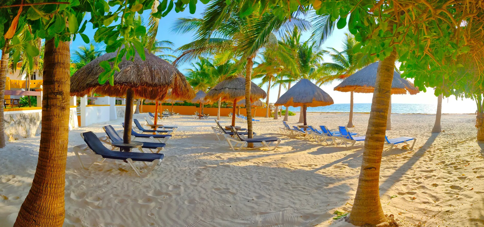 Escena de playa con palmeras, sombrillas de paja, tumbonas en la playa de arena, océano azul de fondo.