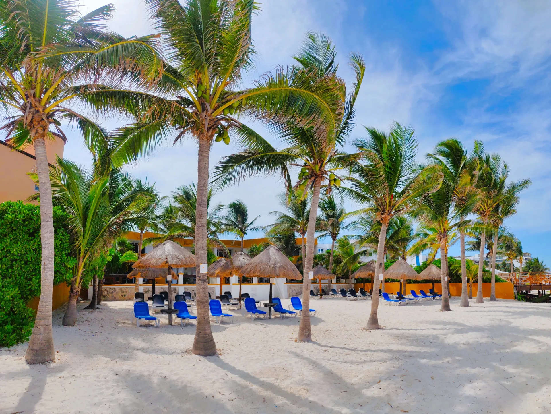 Playa con palmeras, arena blanca, sillas azules bajo sombrillas de paja.