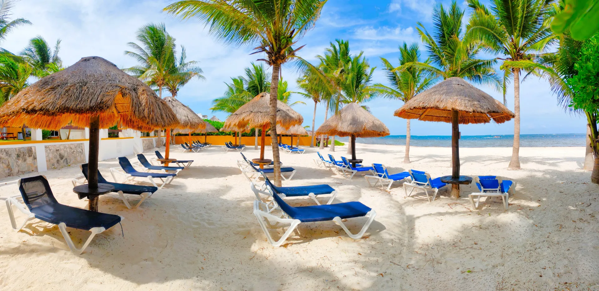 Playa con sombrillas de paja, tumbonas, palmeras y vista al mar bajo un cielo azul.