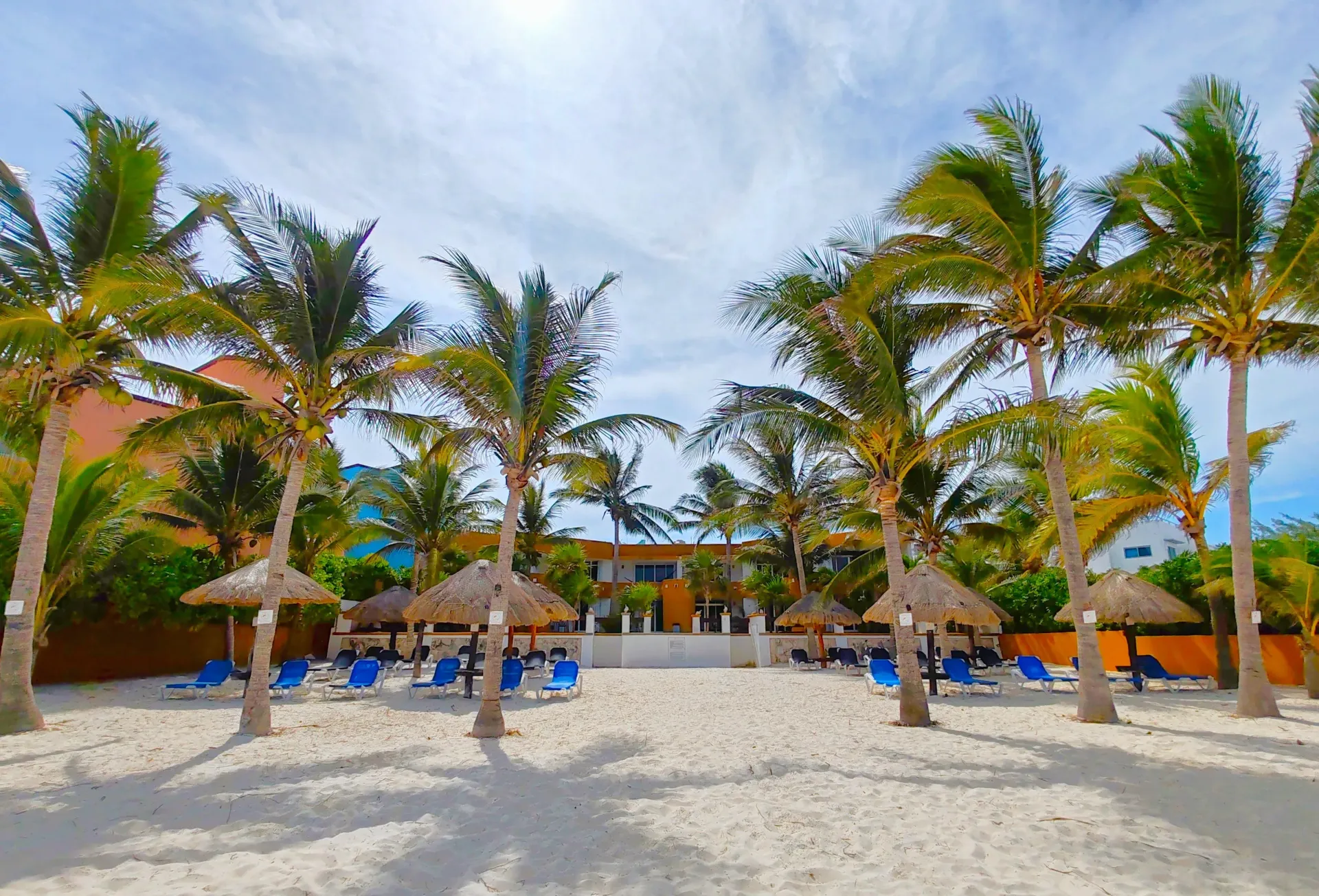 Las palmeras dan sombra a una playa de arena con tumbonas y cabañas tiki, frente a un edificio bajo un cielo azul.