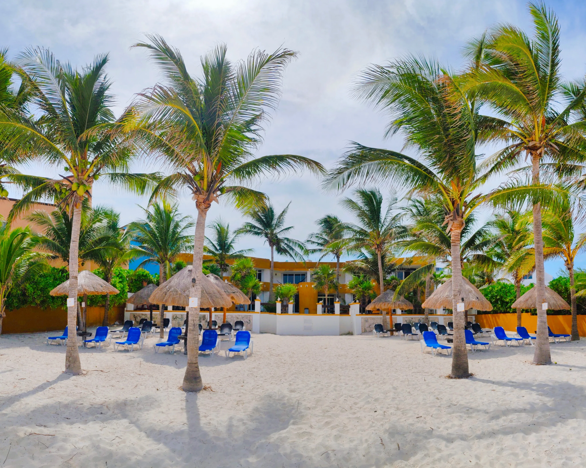 Beach scene with palm trees, white sand, thatched umbrellas, and lounge chairs.