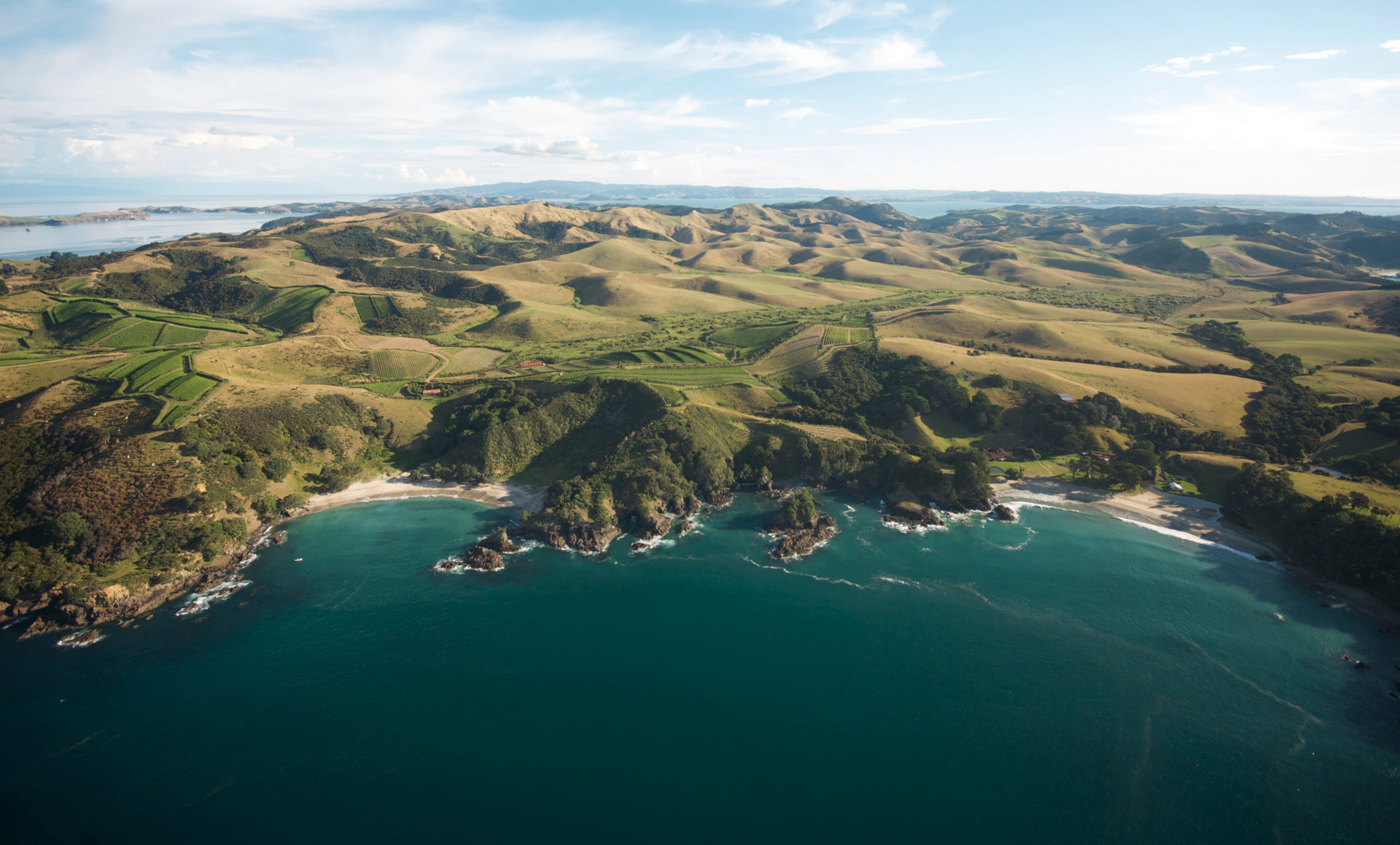 An aerial view of Man O War Bay & Vineyards