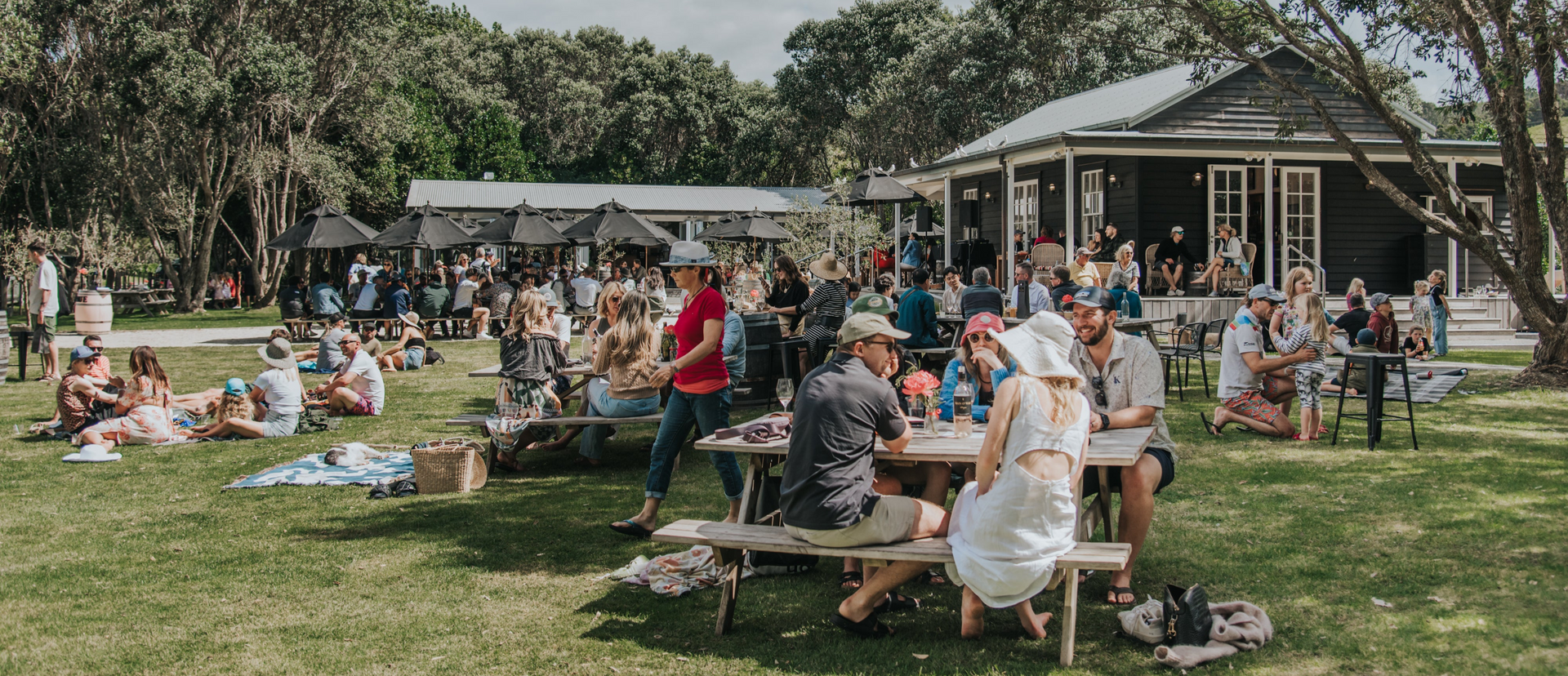 Busy summer day people enjoying the lawn at Man O War