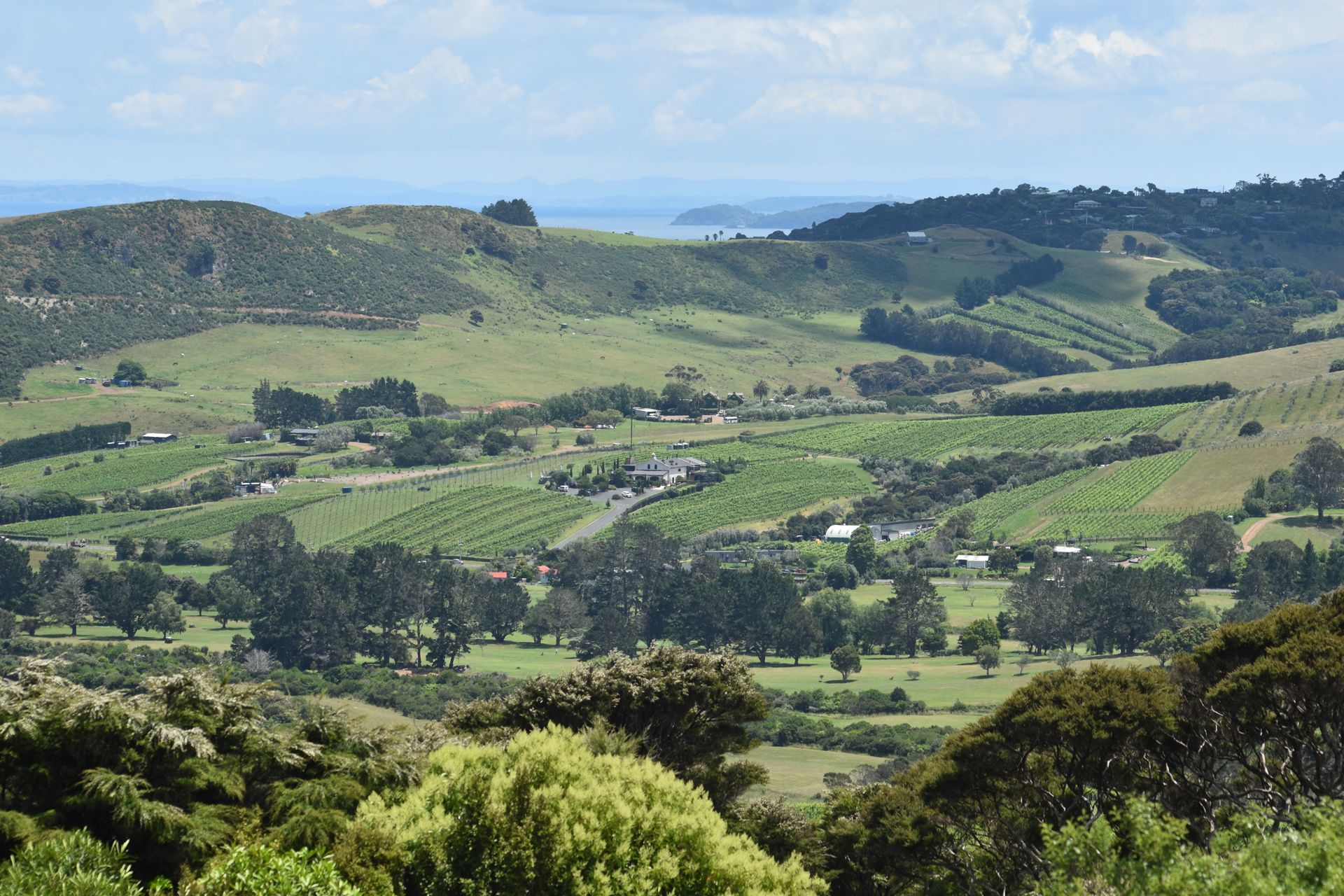 A view of Stony Ridge valley with vineyards, trees and mountains in the background