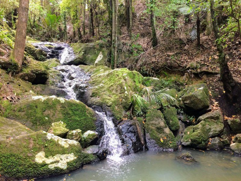 Cascades Waterfall Whakanewha Regional Park Waiheke Island 