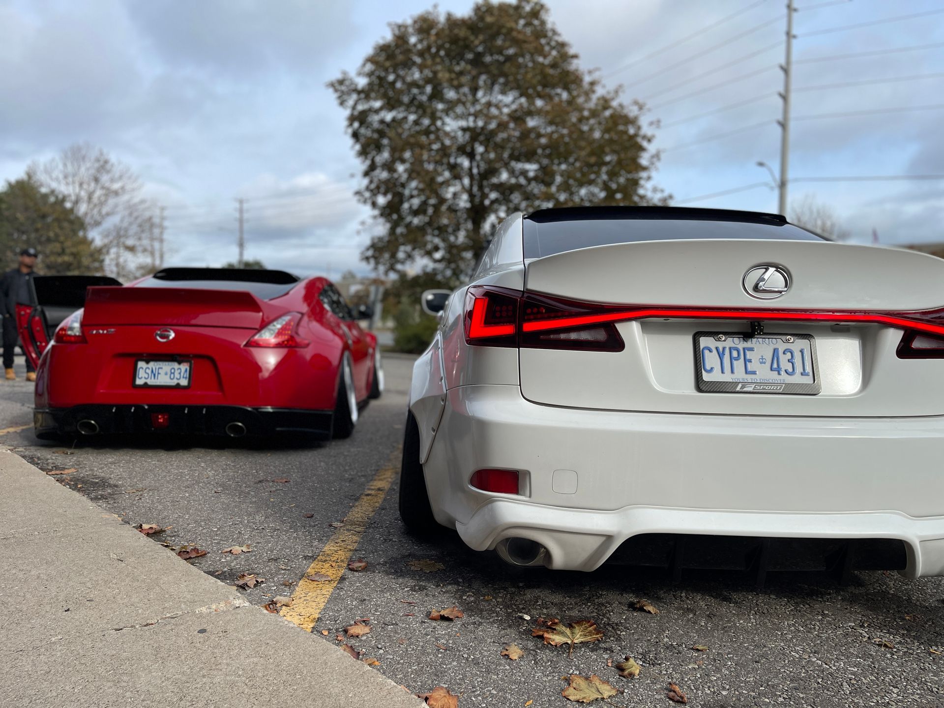 White Lexus and red sports car parked, rear views, on an asphalt lot, cloudy sky. | Mecano Autoworks