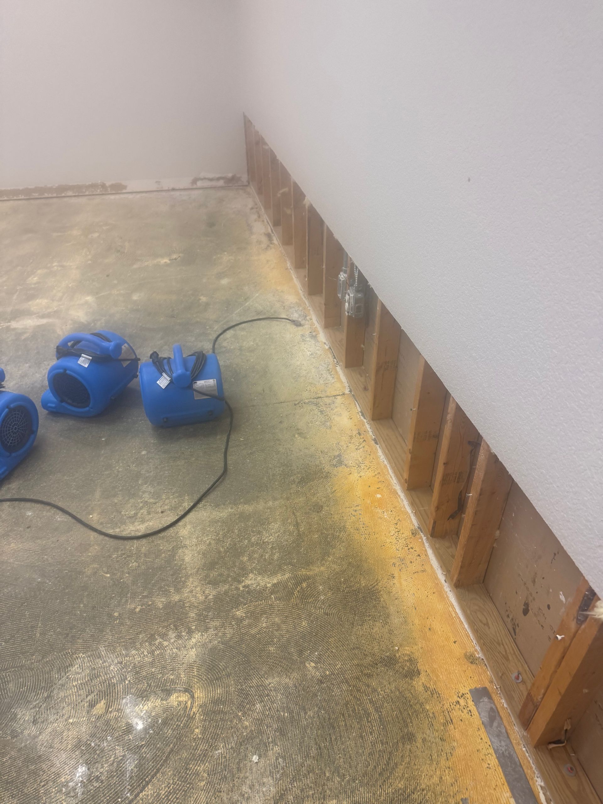 A vacuum cleaner is sitting on a carpet in a room.