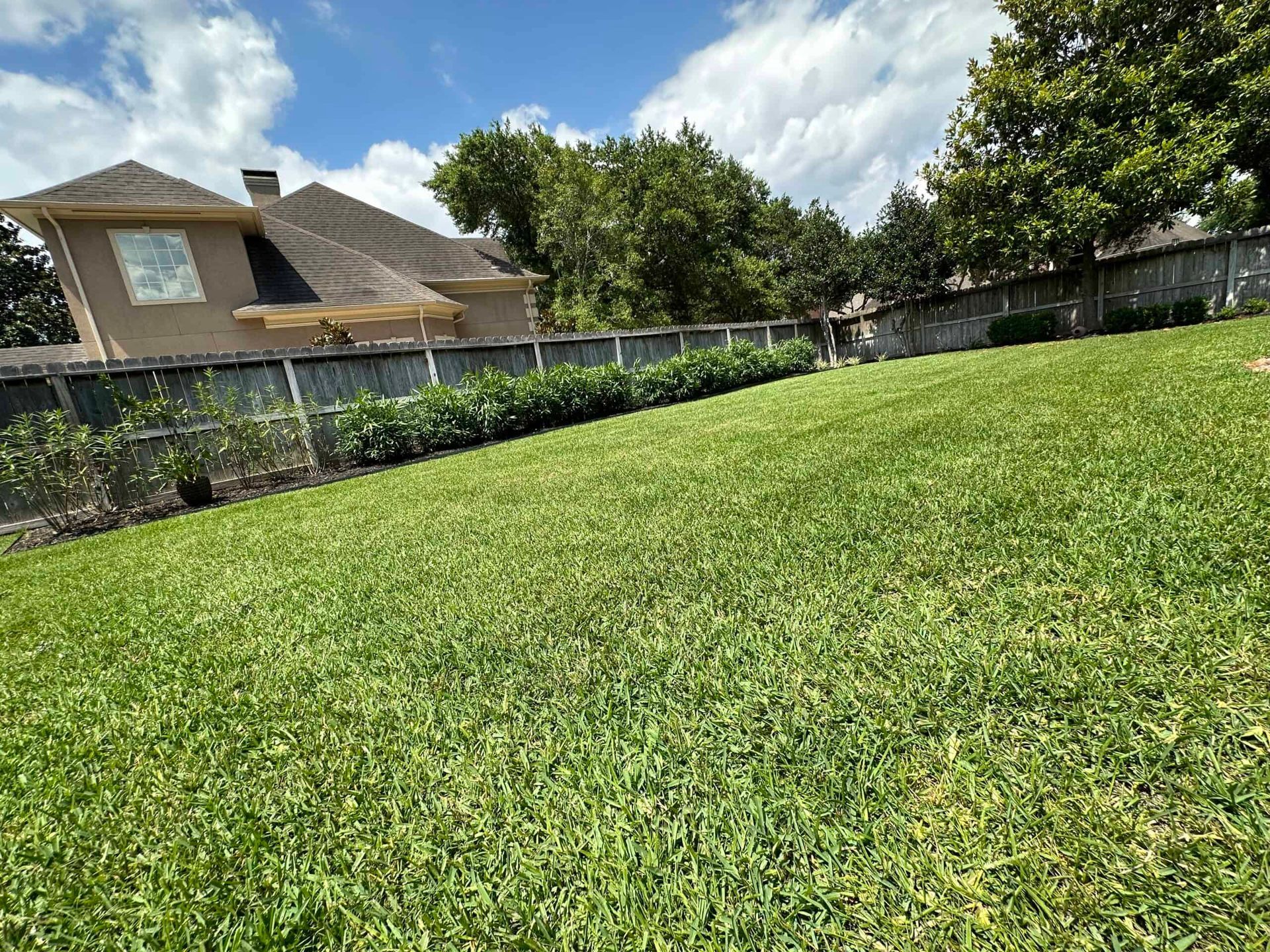 A large lush green lawn with a house in the background.