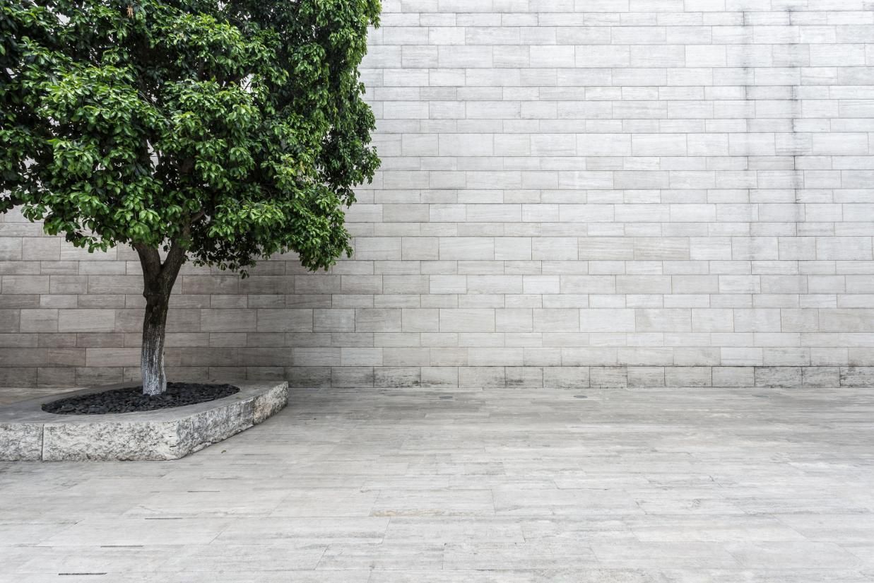 Tree in front of a light gray brick wall and concrete ground.