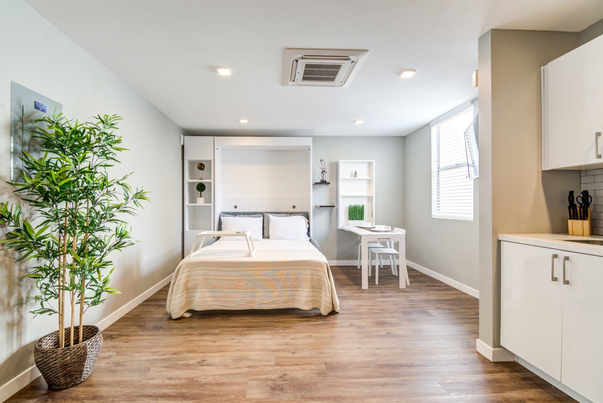 Interior of apartment living area