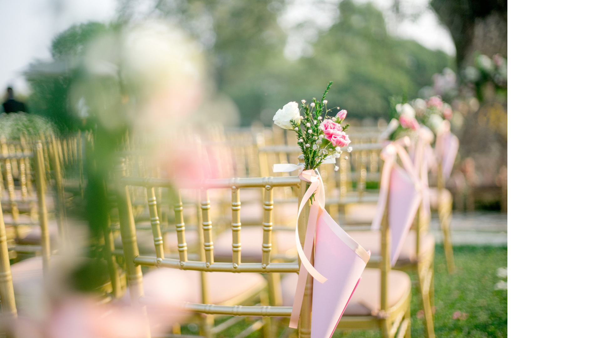 A row of chairs decorated with pink ribbons and flowers for a wedding ceremony.