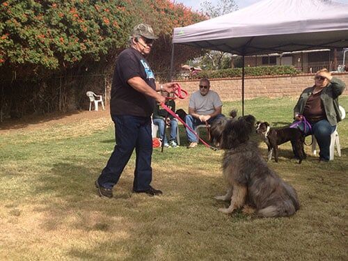 man training dog - Dog Obedience Training in Sylmar, CA