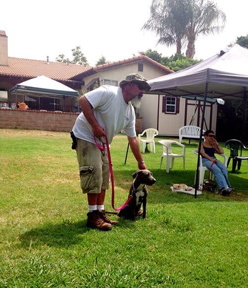 Man Teaching Dog To Fetch - Dog Obedience Training in Sylmar, CA