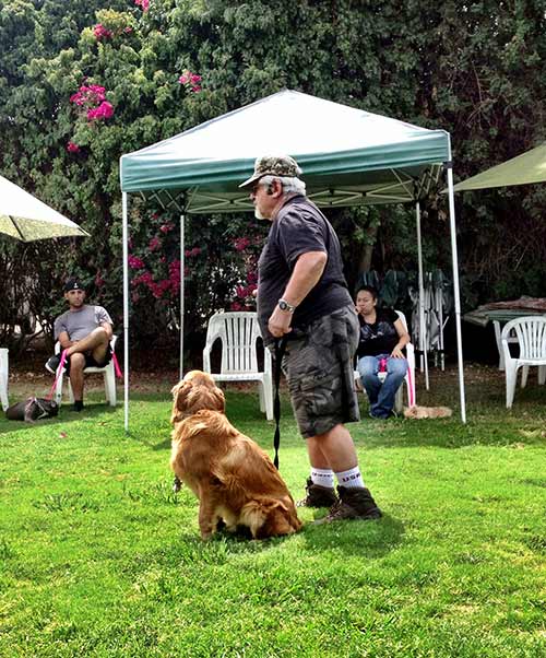 man and dog - Dog Obedience Training in Sylmar, CA