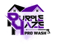 Purple Haze Pro Wash