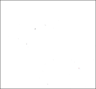 Immagine prevalentemente bianca con alcune deboli macchie sparse su di essa.