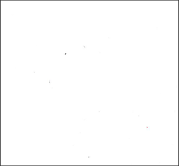 Schermo prevalentemente bianco vuoto con qualche minuscolo puntino grigio sparso sopra.