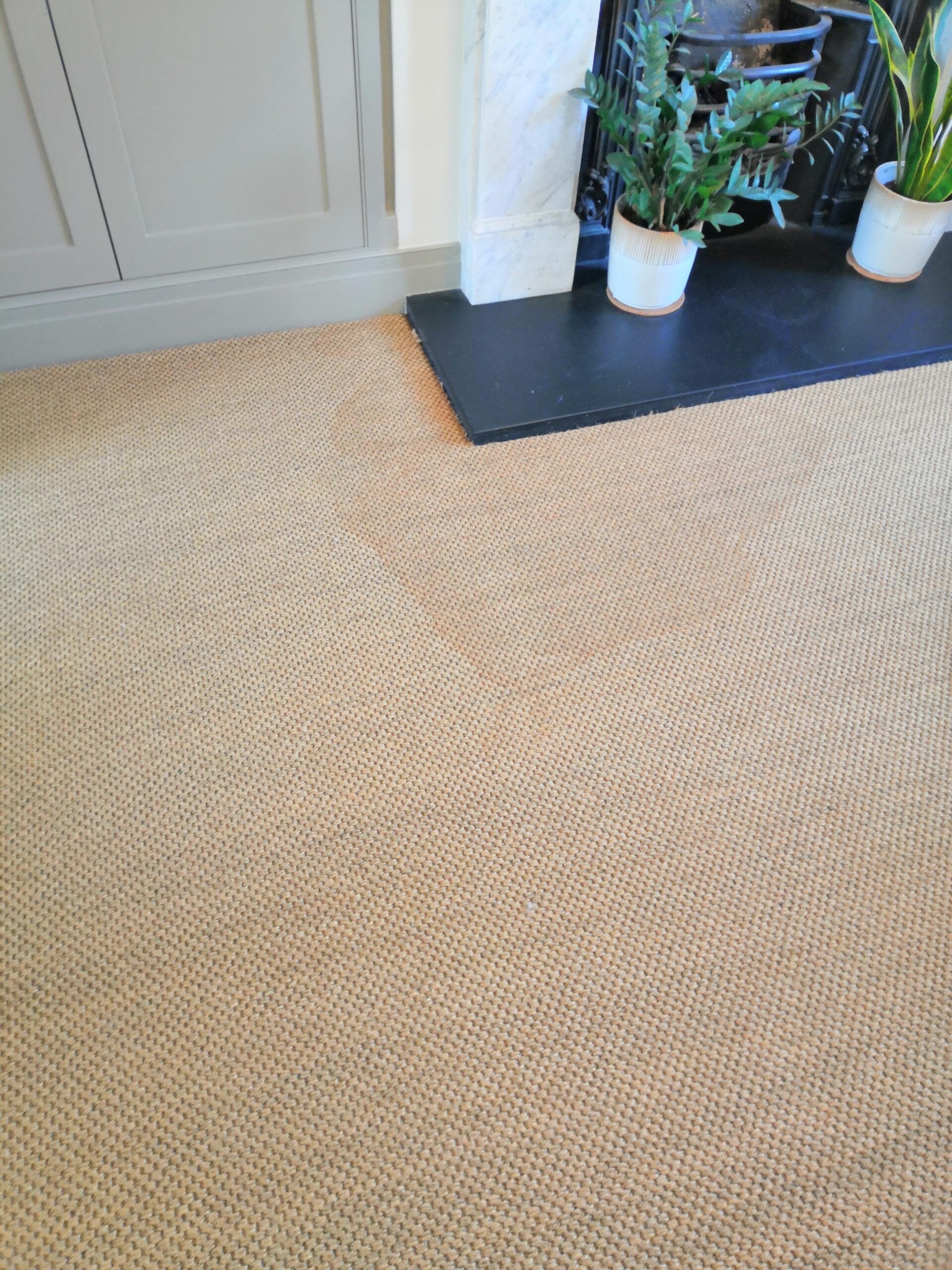 Sisal Stain Technology by Woolsafe