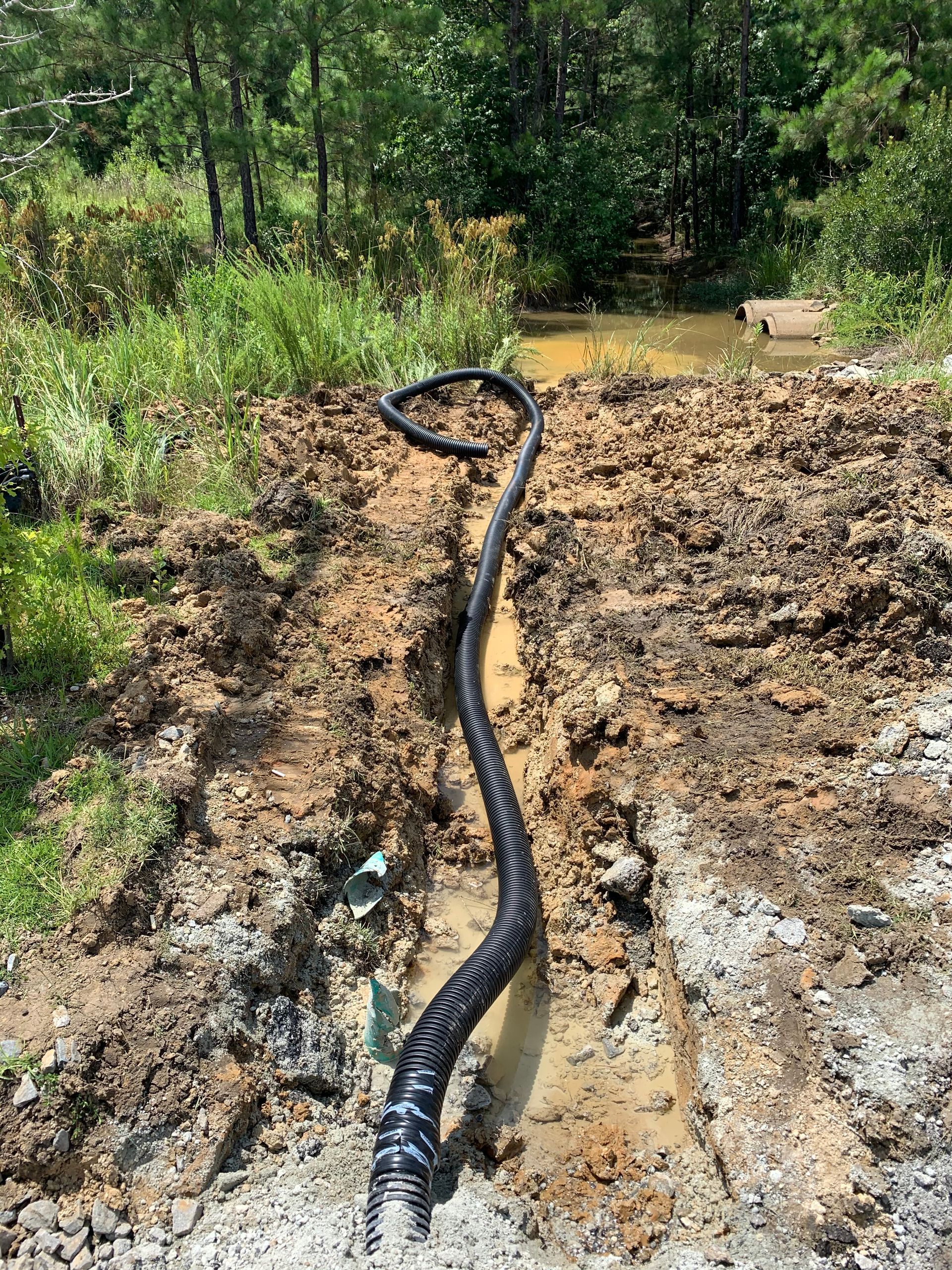 A large snake is crawling through the mud in a field.