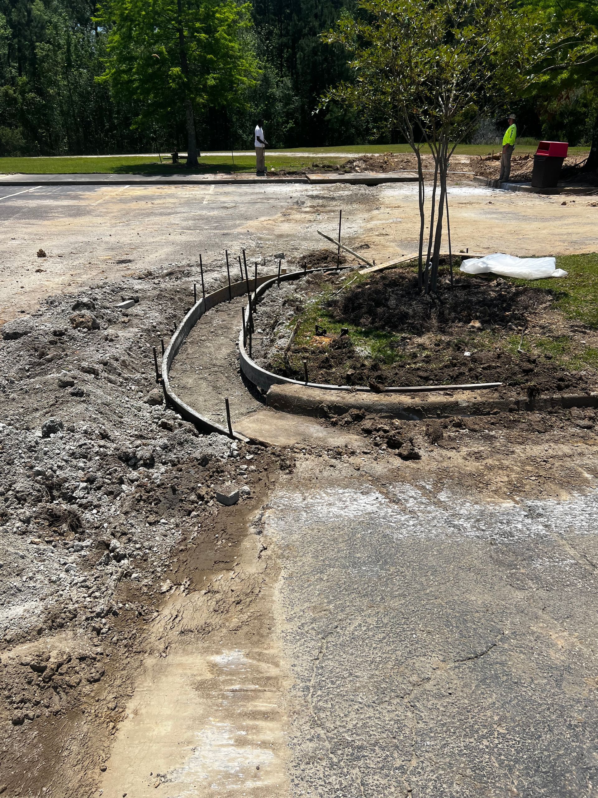 A muddy road with a tree in the middle of it
