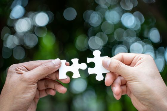 Hands holding puzzle pieces about to connect, symbolizing expert guidance and informed decision-making with PricingService.ai