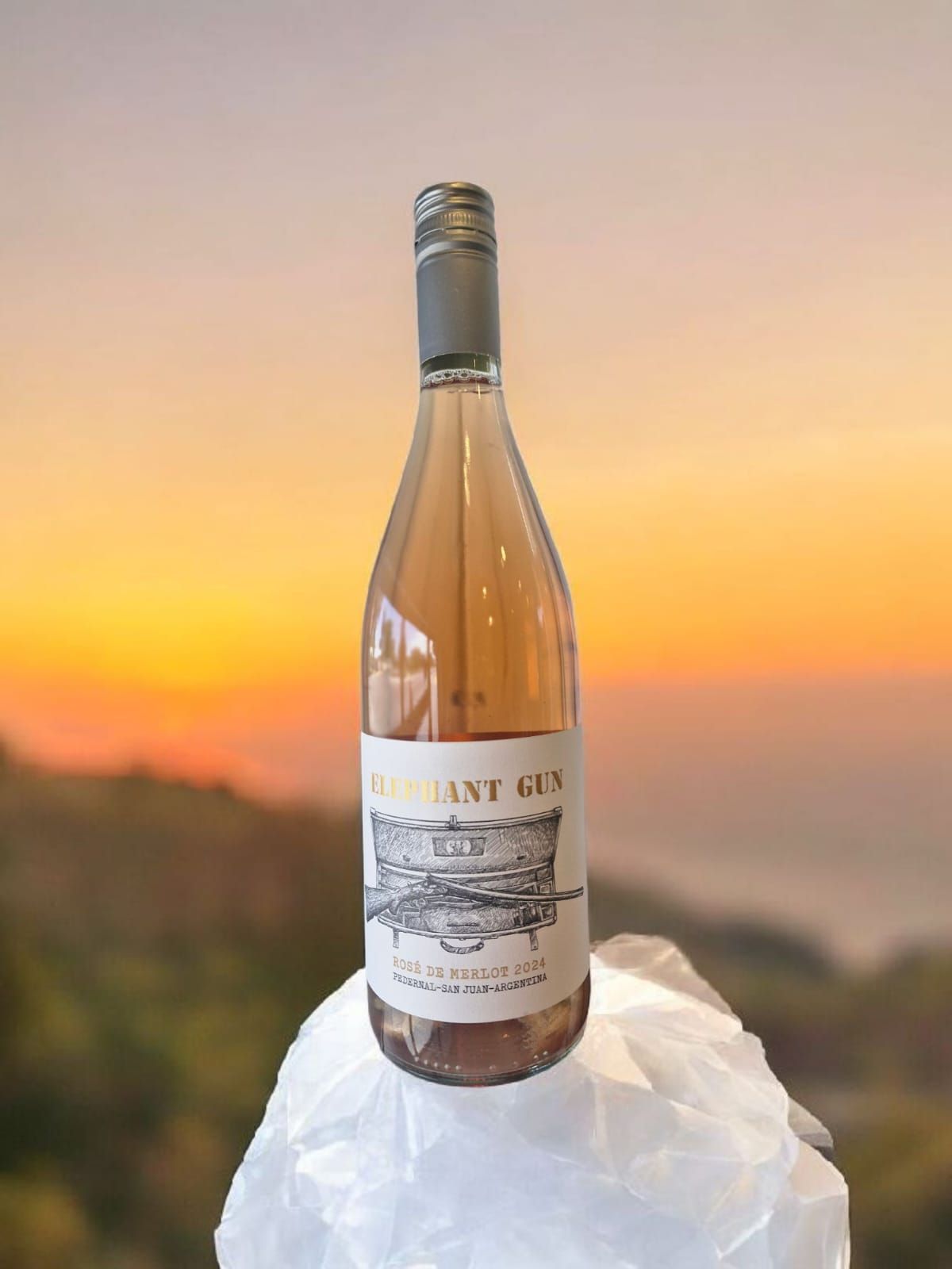 ELEPHANT GUN ROSE DE MERLOT BODEGA ELEFANTE