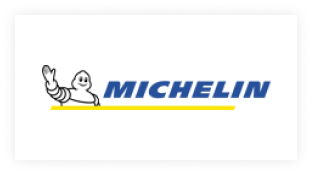 Michelin Tires Logo - WheelMaxx
