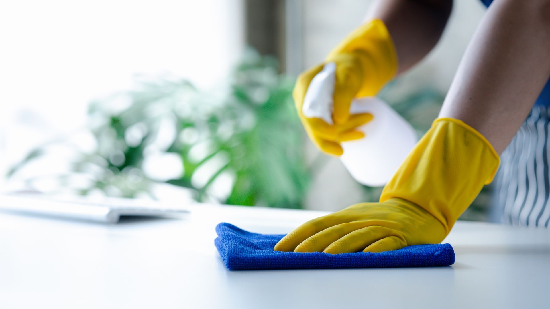 Hands wearing yellow rubber gloves use a blue cloth and spray bottle to wipe down a white surface.
