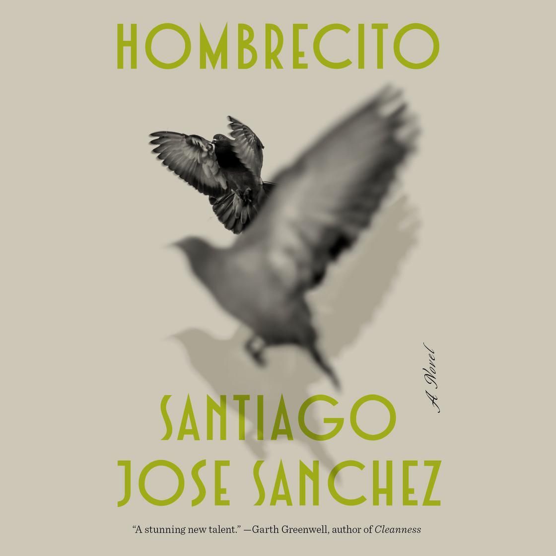 Album cover with olive text “HOMBRECITO” and “SANTIAGO JOSE SANCHEZ” over a blurred bird in flight.