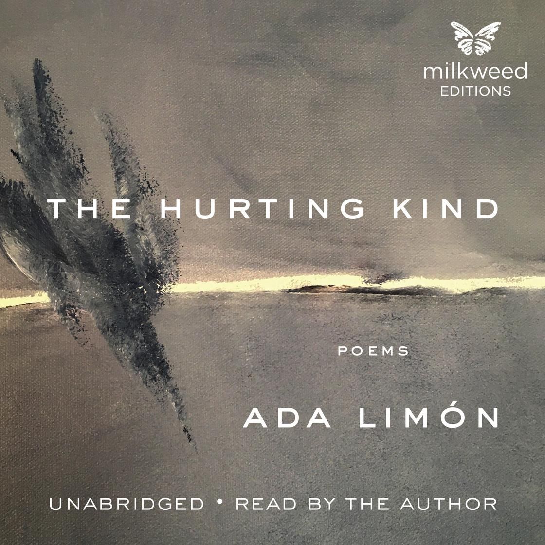 Cover of the poetry book The Hurting Kind by Ada Limón, featuring abstract grey and dark brushstrokes against a horizon.