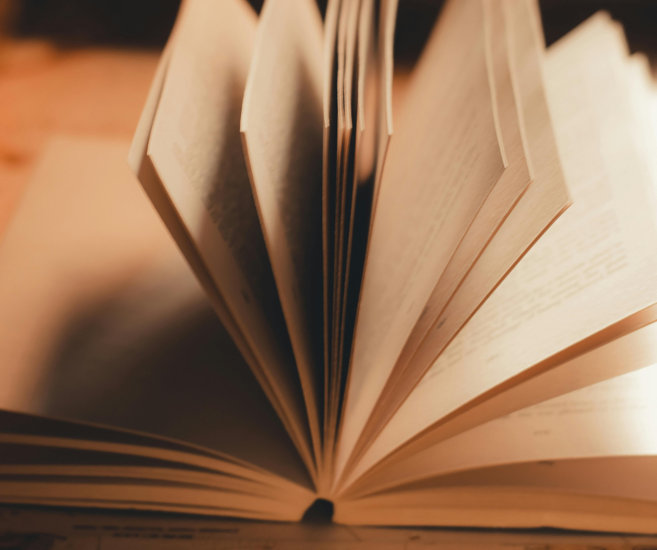 Open book with pages fanned out, illuminated by warm light.