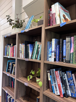 Bookshelves filled with colorful books and a few small potted plants in a room