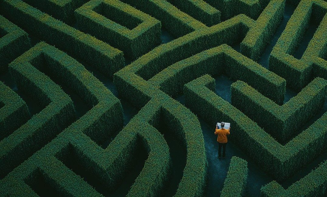 Person in orange jacket walks through a dense green hedge maze, holding a map.