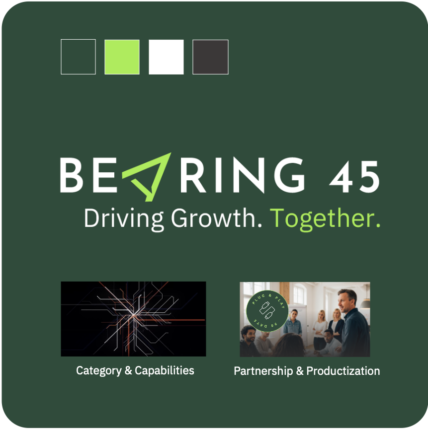 Logo for Bearing 45, with two image examples and a color scheme.