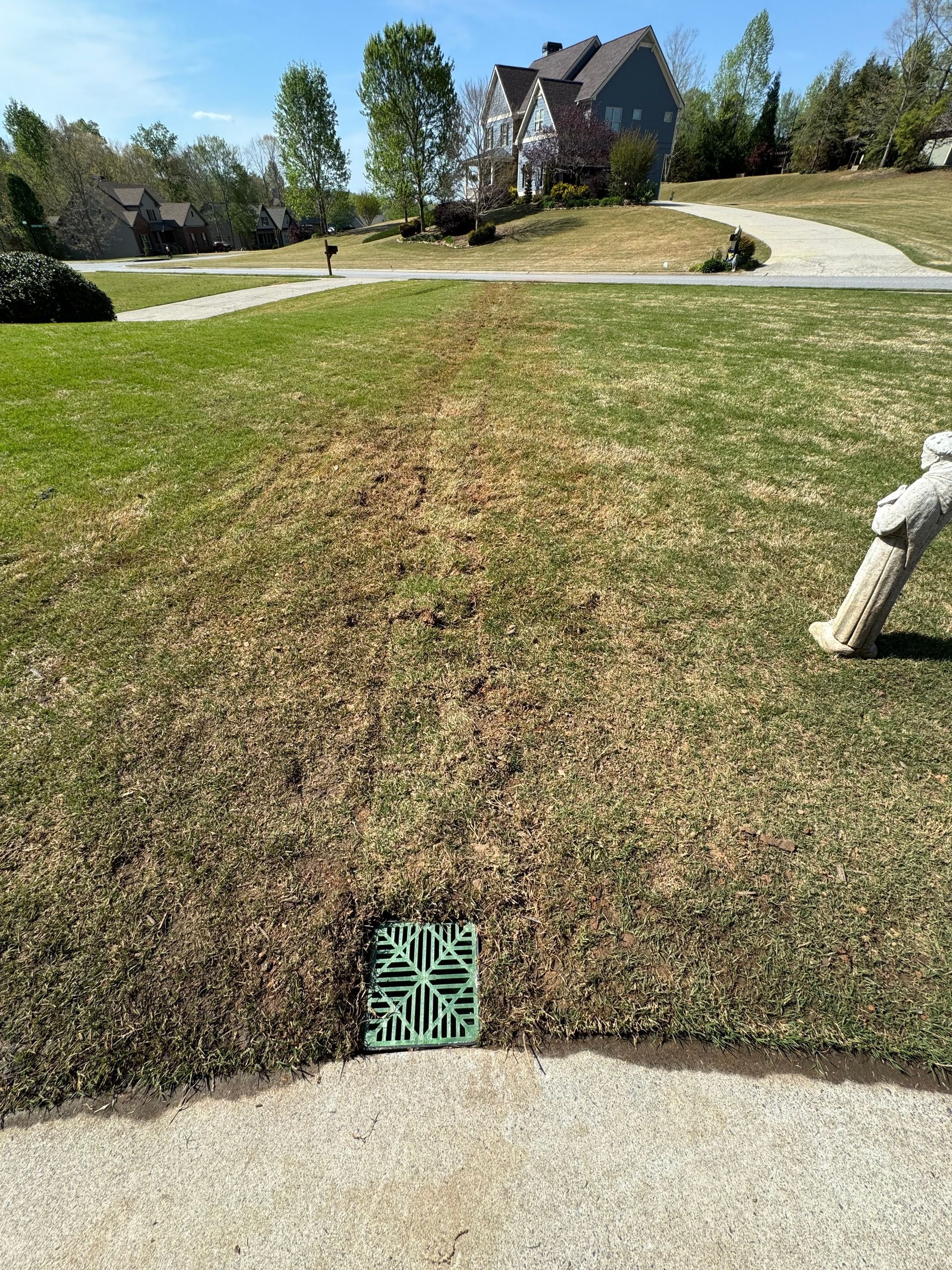 A dry lawn with a drainage grate and path. A house and trees are in the background on a sunny day.