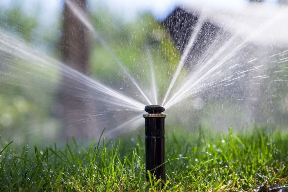 A close up of a sprinkler spraying water on a lush green lawn.