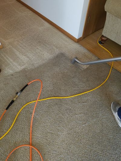 Carpet being cleaned with a machine; orange, yellow, and black hoses on a beige carpet. Carpet being cleaned with a machine; orange, yellow, and black hoses on a beige carpet.