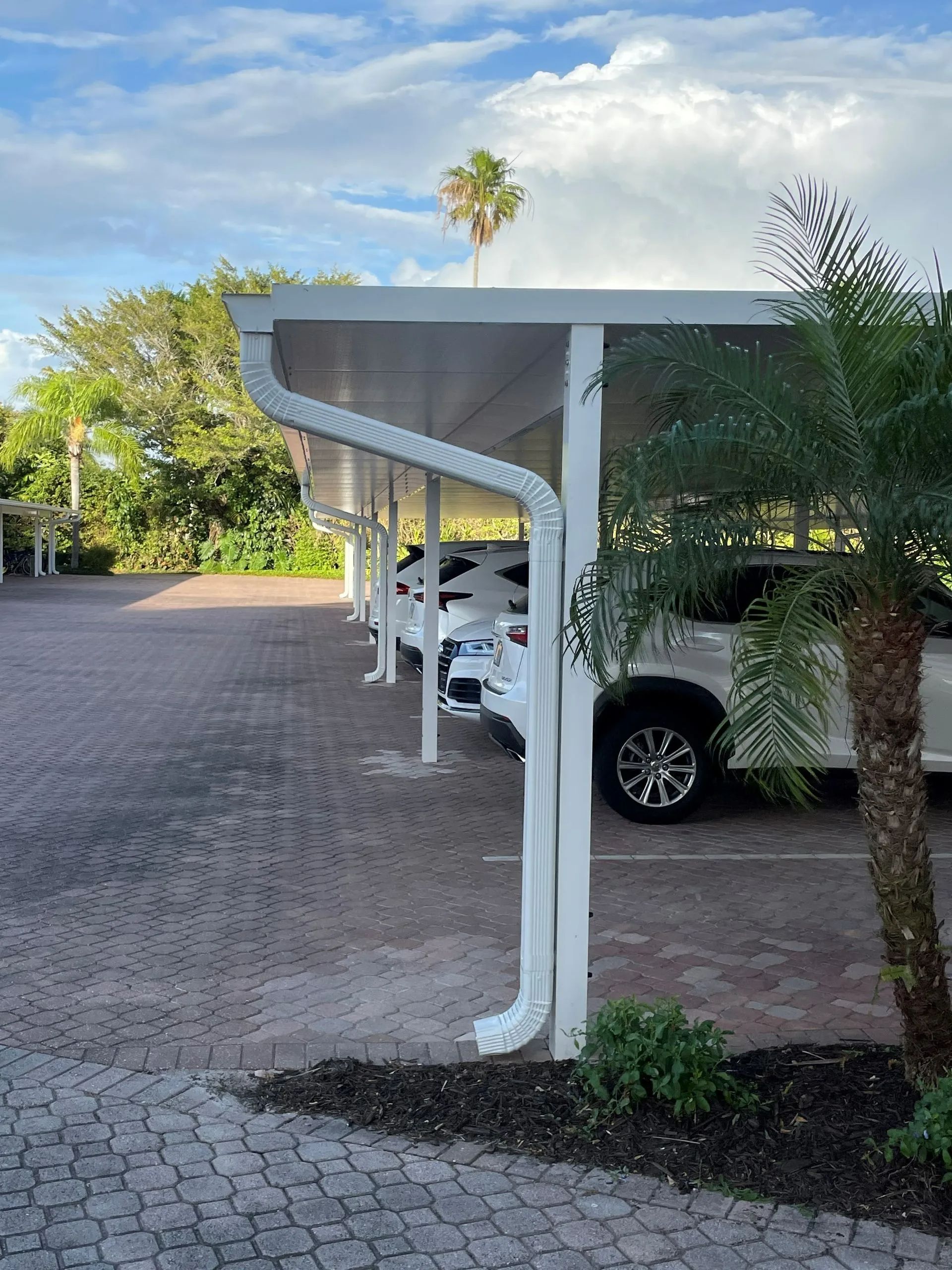 White Cars — Naples, FL — ABC Screen