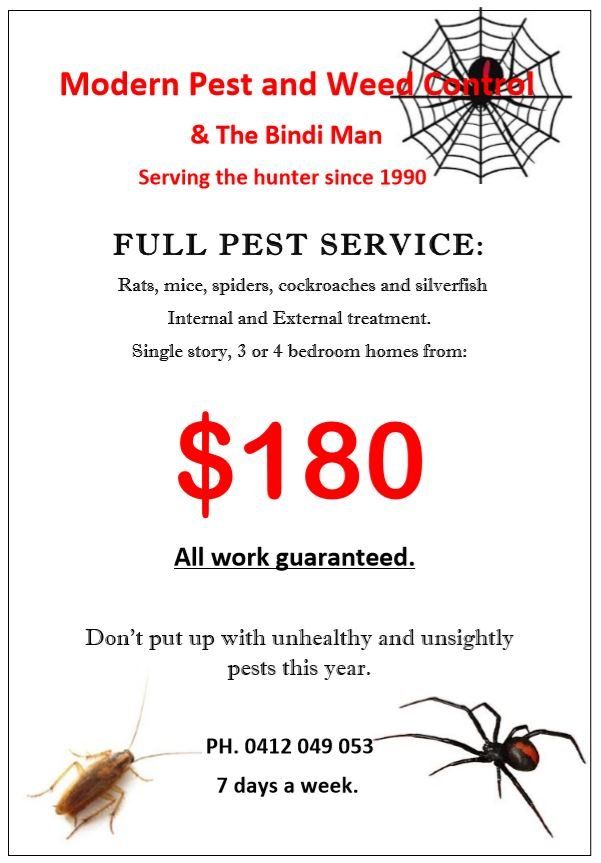 Bindi  Pest Control Flyer