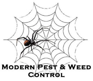 Modern Pest Control - The Bindi Man - Logo