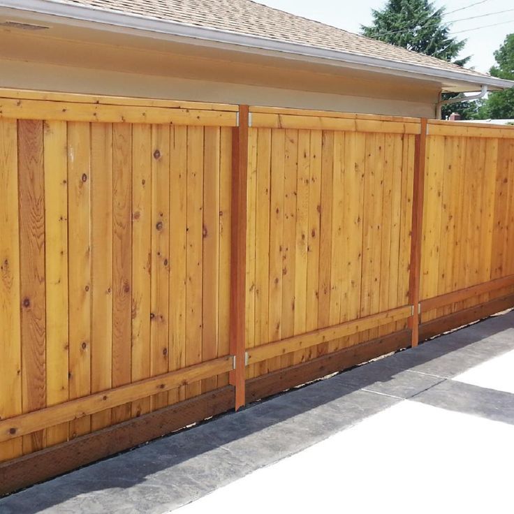 Cedar