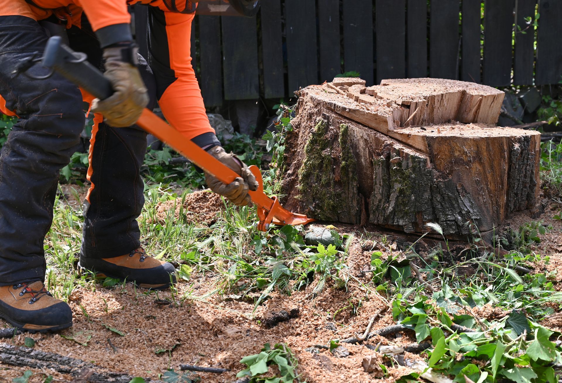 Person using orange loppers to cut weeds around a tree stump in a backyard